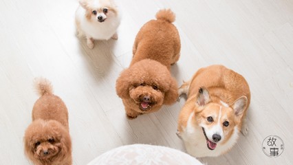 imtoken官方贴吧