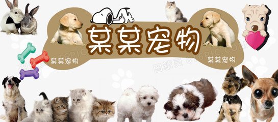 imtoken钱包有比特币私钥吗