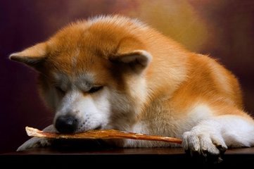 imtoken钱包苹果版用不了