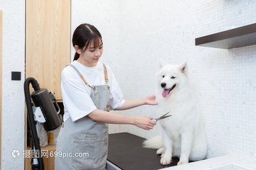 usdt行情钱包