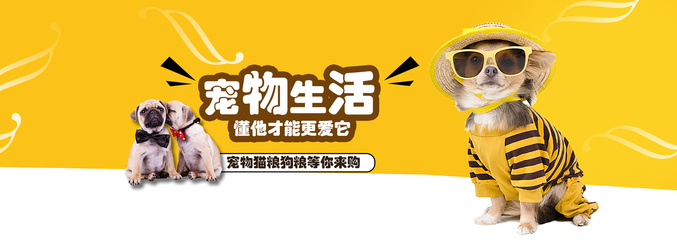 手机imtoken找币种