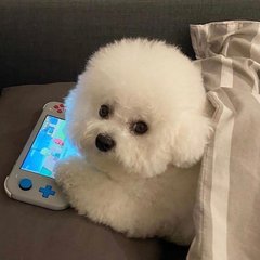 imtoken钱包代码