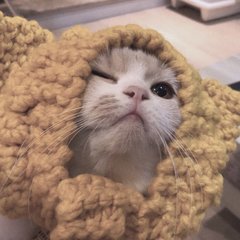 比特币钱包是啥