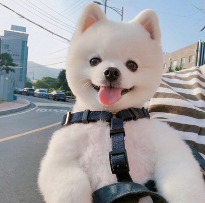 imtoken官网下载 to