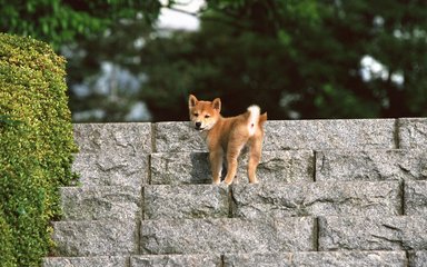 苹果手机用imtoken安全吗
