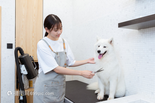 imtoken苹果怎么下载
