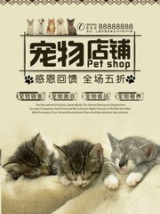 okpay官网进入